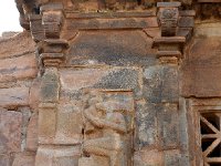 AA1 0423  ヴァラーハ