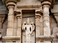 DSC 0746  ハリハラ