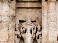 DSC 0764  ブラフマー