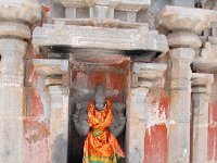 DSC 0210  ブラフマー