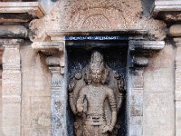 DSC 0189  ブラフマー、マカラトーラナ