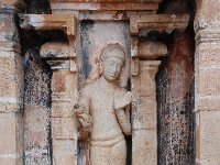 DSC 0192  LAVA OR KUSHA