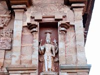 DSC 0365  ハリハラ