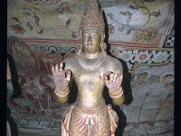 DAMBURA040  スマナ