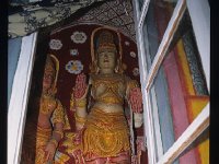 LANKAT002  サマン