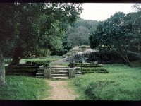 KALUDI003  KALUDIYA POKUNA