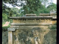 SHINHA004  SHINHA POKUNA