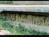 SHINHA009  SHINHA POKUNA