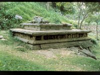 SHINHA012  SHINHA POKUNA