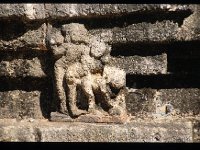 NARANDA022  ミトゥナ