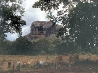 SIGIRIYA002